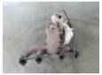 038253016f turbosuflanta seat toledo asz