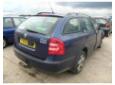 broasca usa spate skoda octavia 2