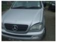 broasca usa spate mercedes clasa m (w163)1998/02-2005/06