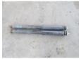amortizor  spate mercedes clasa c (w203) 2000/05-2007/02