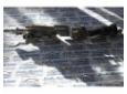 ax vw t5 1.9tdi axb 7h1419501c