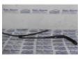brat stergator ford galaxy 1.9tdi