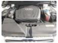 broasca usa fata audi a4 (8k) (b8) 2007/11-2013