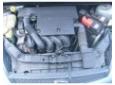 broasca usa fata ford fiesta 1.3b