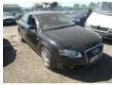 broasca usa fata pentru audi a4 1.9tdi brb
