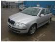 broasca usa fata skoda octavia 2 1.9tdi