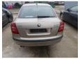 broasca usa fata skoda octavia 2 2.0tdi bkd
