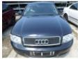 broasca usa spate audi a4 2.0b alt