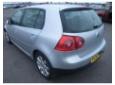broasca usa spate pentru vw golf 5 2.0tdi dsg