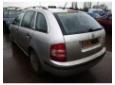 broasca usa spate skoda fabia 1.4tdi bnv