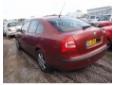 broasca usa spate skoda octavia 2 1.6fsi