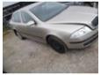 broasca usa spate skoda octavia 2 2.0tdi bkd