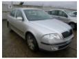 broasca usa spate skoda octavia 2