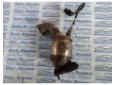 catalizator opel vectra c 1.9cdti 150cp 55559634