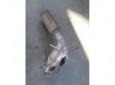 catalizator vw golf 5 1.6fsi blf