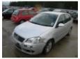 broasca usa spate volkswagen polo (9n) 2001/10-2009/11