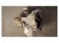cutie de viteza manuala volkswagen passat (3b3) 2000/11-2005/03