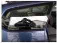 geam dreapta caroserie ford focus 2 combi 1.8tdci