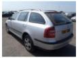 geam usa spate de skoda octavia 2 combi 1.9tdi bxe