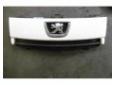 grila bara fata peugeot expert 1.6hdi