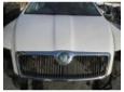 grila fata skoda octavia 2 2.0tdi bkd