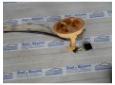 pompa combustibil bmw e91 320 2.0d 163cp 204d4 6763886