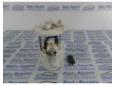 pompa combustibil opel corsa d 1.2b 0580314138