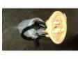 pompa combustibil volkswagen golf 5 (1k1) 2003/10-2009/02