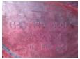 pompa tandem audi a4 2.0tdi bna cod 03g145209