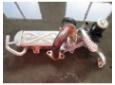 racitor gaze vw passat 2.0tdi cff 03l131512bl