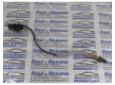 sonda landa audi a4 2.0tdi cag combi 03l906088d