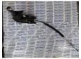 timonerie cutie viteza skoda yeti 1.2tsi cbz 5k2713025bn