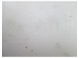 vas stropgel 6q0955453n,  seat cordoba 1.9tdi blt, asz, 131cp