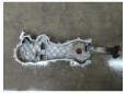 vindem 37004600 pompa ulei fiat doblo 1.3multijet