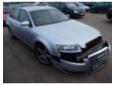 vindem broasca usa spate audi a6 (4f) 2.0tdi bre