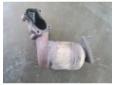 vindem catalizator 55198993 fiat doblo 1.9jtd