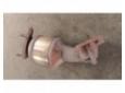 vindem catalizator opel astra g 1.7cdti