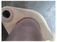 vindem conducta gaze 038131521j seat cordoba