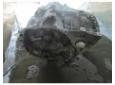 vindem cutie de viteza 8200553268 renault megane 16 16v