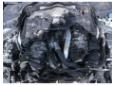 vindem jug motor pentru mercedes e 320cdi  (w211)