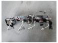 vindem rampa injectoare pentru renault megane 2 1.9dci f9ql