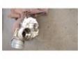 vindem turbosuflanta vw golf 4 1.9tdi asz