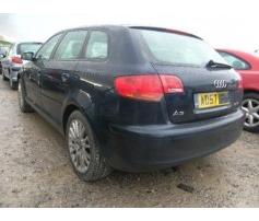 broasca usa spate audi a3 2.0tdi bkd