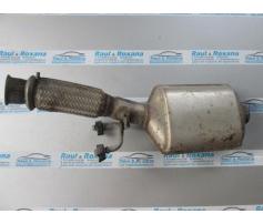 catalizator peugeot 206 2.0hdi rhy