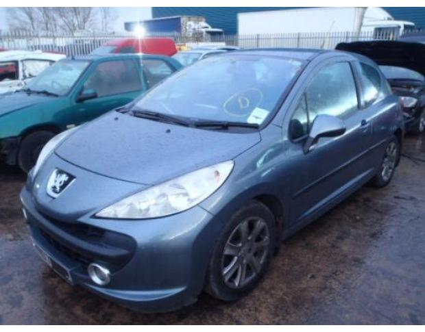 broasca usa fata peugeot 207 1.6hdi