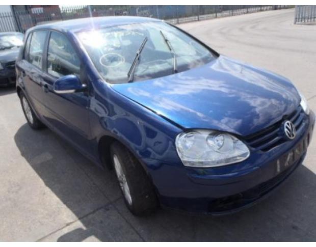 broasca usa spate de golf 5 1k 1.9tdi bkc