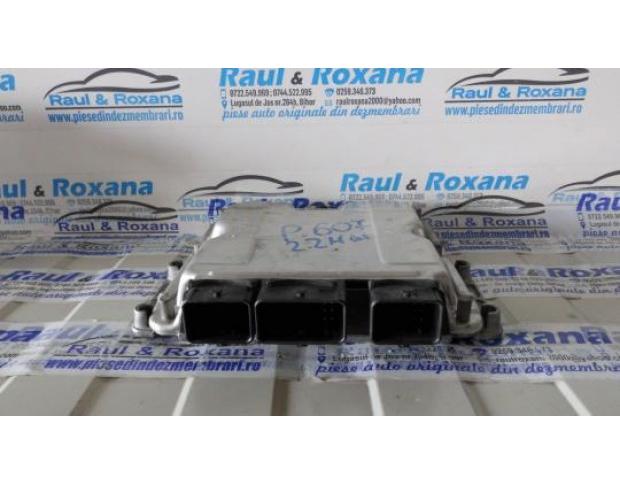 calculator motor peugeot 607 2.2hdi 0281010880