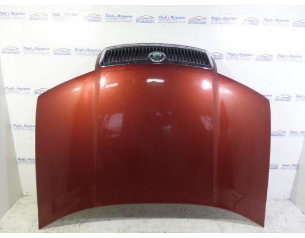 capota fata skoda fabia 1