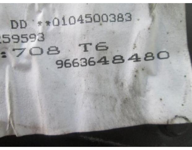 ceas bord peugeot 307 1.6hdi cod 9663648480