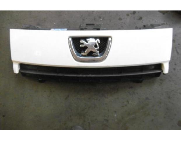 grila bara fata peugeot expert 1.6hdi